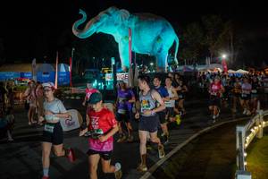 BIB: 
                            <button type="button" onclick="openModal(26552299)" class="btn btn-primary btn-sm float-right btn-popup" data-toggle="modal" data-target=".modal-high-quality">
                        <i class="fas fa-shopping-cart"></i> Add to Cart
                    </button>
                                            <button type="button" onclick="isThisMe(26552299, true)" class="btn btn-success btn-sm float-right btn-popup btn-isme hidden" data-toggle="tooltip" data-placement="bottom" title="นี่คือรูปของคุณใช่ไหม คลิกที่นี่เพื่อเอาเข้าอัลบั้ม">
                        <i class="fas fa-plus"></i> Add to album
                    </button>
                    <button type="button" onclick="isThisMe(26552299, false)" class="btn btn-warning btn-sm float-right btn-popup btn-isnotme hidden">
                        <i class="fas fa-ban"></i> Remove from album
                    </button>